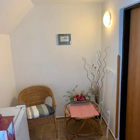 U Dvou Babicek Homestay *