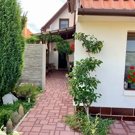 U Dvou Babicek Homestay Horni Vestonice